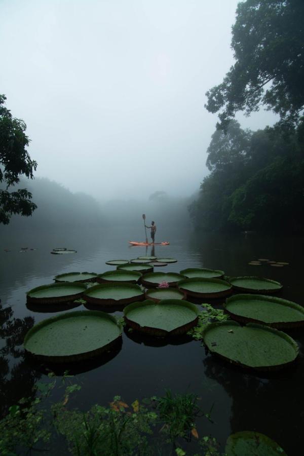 Los Chocuacos. Guacimo  Bagian luar foto