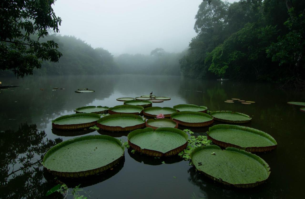 Los Chocuacos. Guacimo  Bagian luar foto
